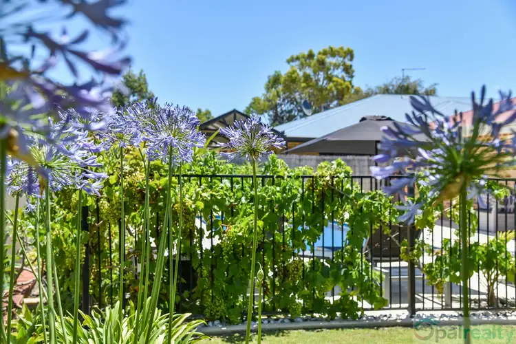 Third view of Homely house listing, 13 Navigator Drive, Singleton WA 6175