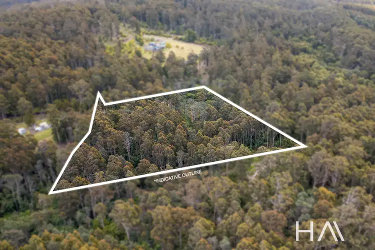 Industry Road, Pipers River TAS 7252