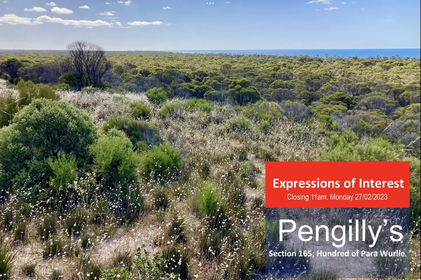 Main view of Homely rural property listing, Section 16 Brutus Road, Point Souttar SA 5577
