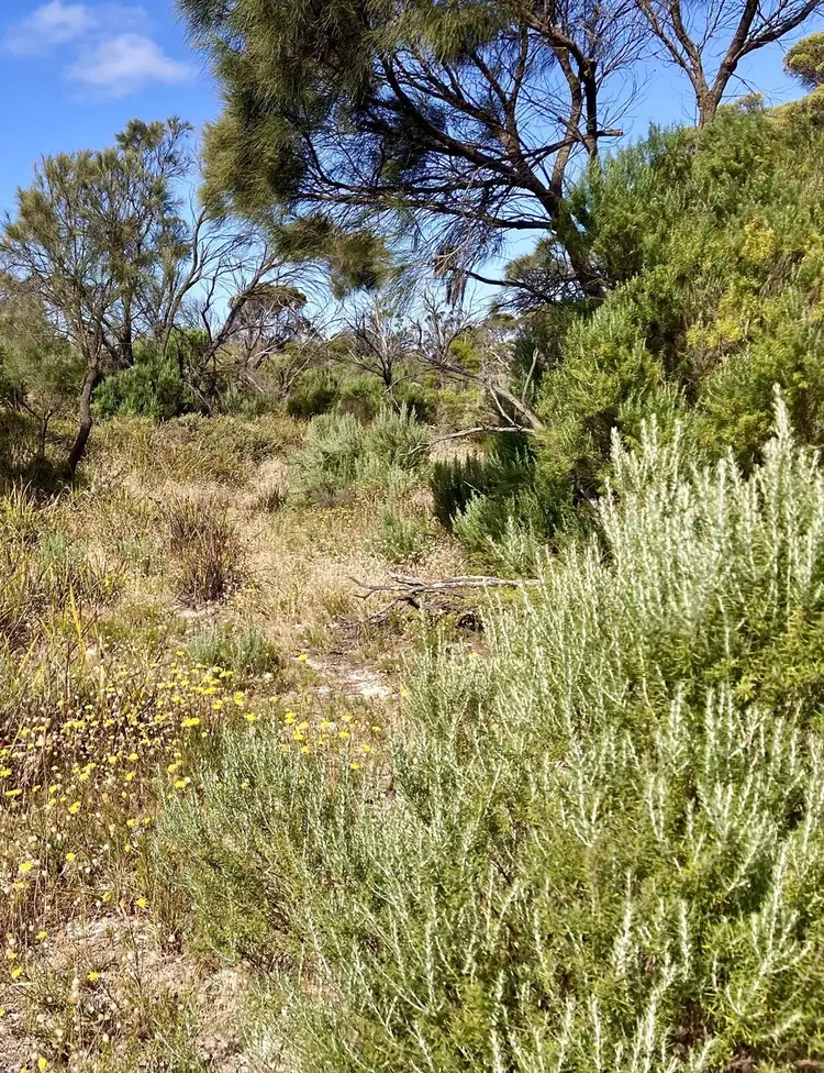 Second view of Homely rural property listing, Section 16 Brutus Road, Point Souttar SA 5577