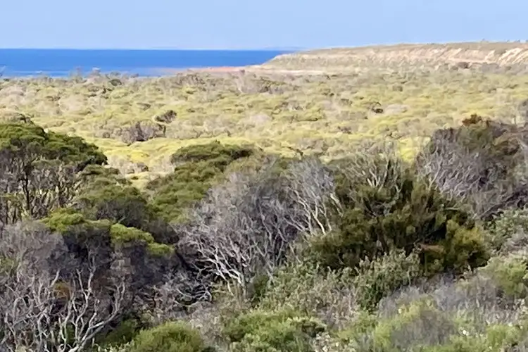 Fifth view of Homely rural property listing, Section 16 Brutus Road, Point Souttar SA 5577