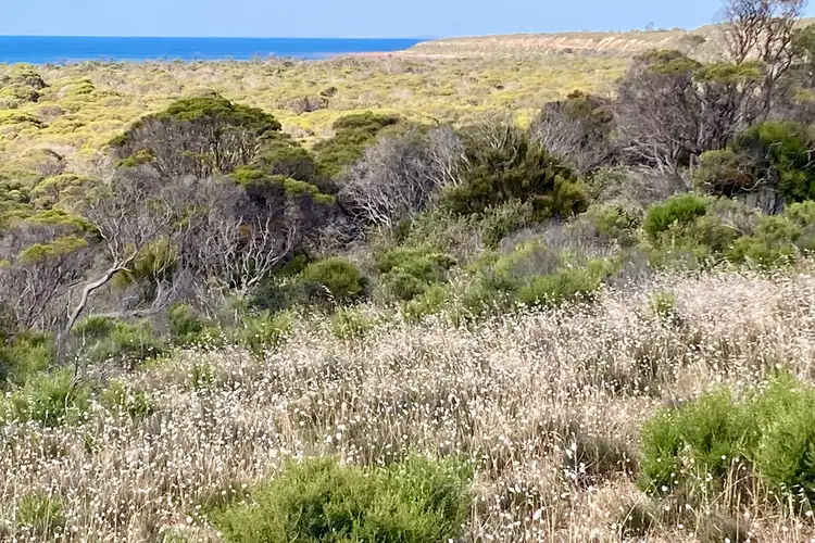 Sixth view of Homely rural property listing, Section 16 Brutus Road, Point Souttar SA 5577
