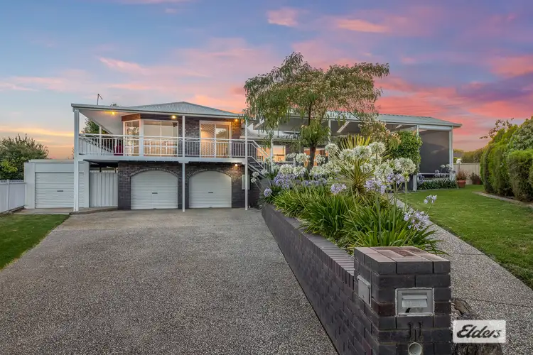 Main view of Homely house listing, 11 Teal Court, Wodonga VIC 3690
