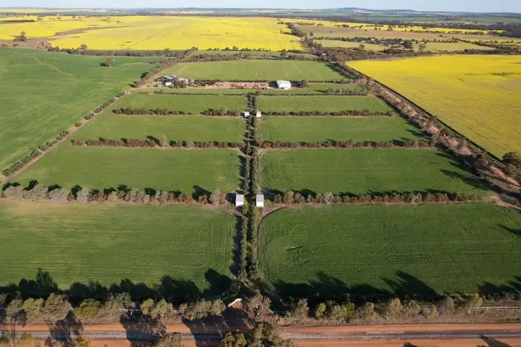 Seventh view of Homely rural property listing, 1352 Quellington Road, York WA 6302