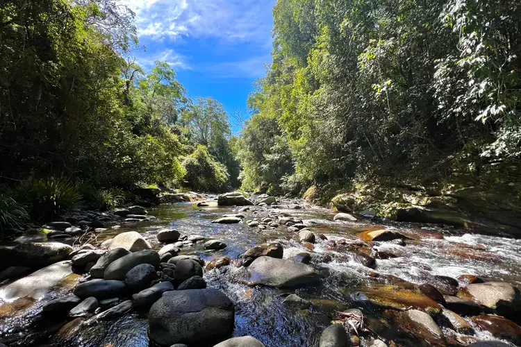 Third view of Homely rural property listing, 2880 Salisbury Road, Dungog NSW 2420