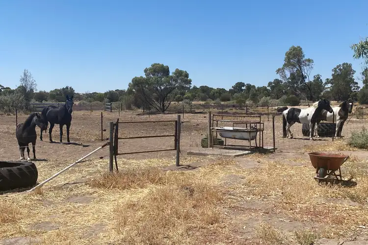 Third view of Homely rural property listing, 3810 Goldfields Road, Quairading WA 6383