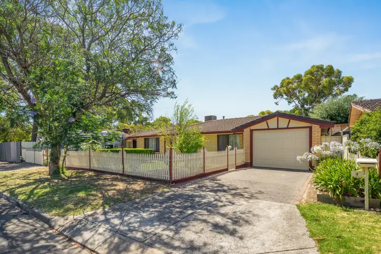 3 Protea Street, Morphett Vale SA 5162