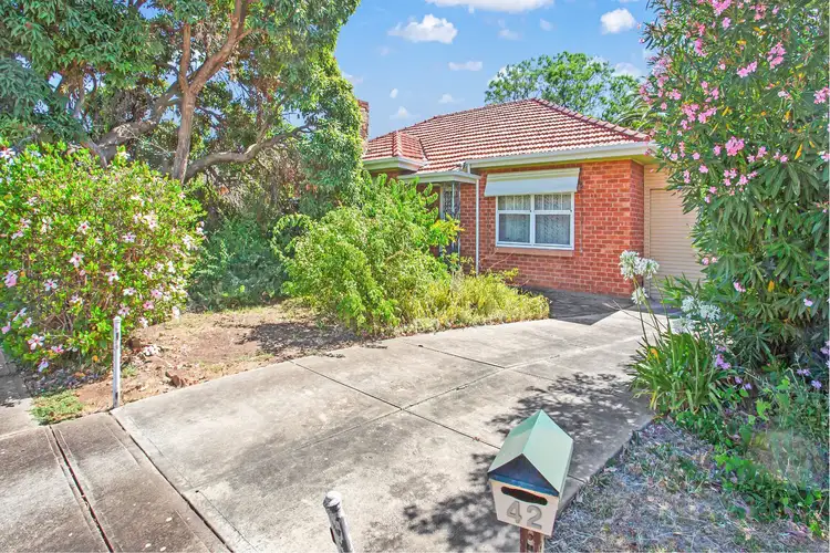 Main view of Homely house listing, 42 Douglas Street, Flinders Park SA 5025