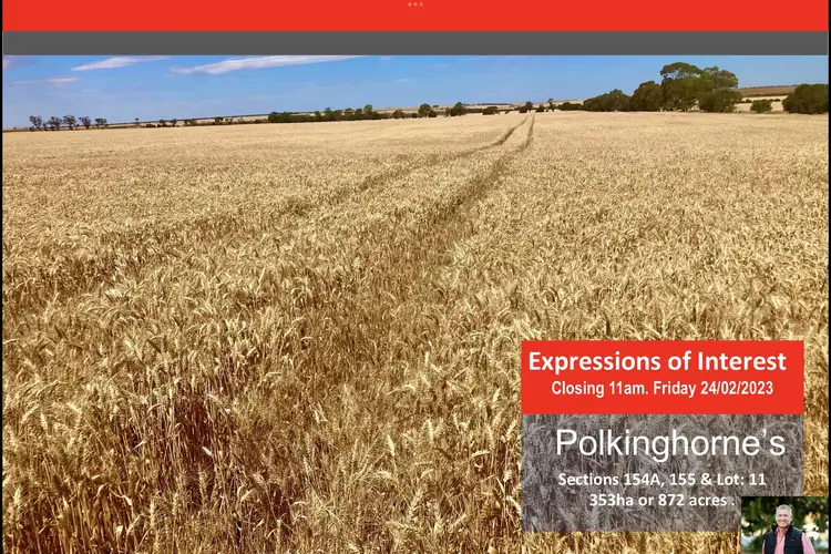 Main view of Homely rural property listing, 76 Polkinghorne Road, Arthurton SA 5572