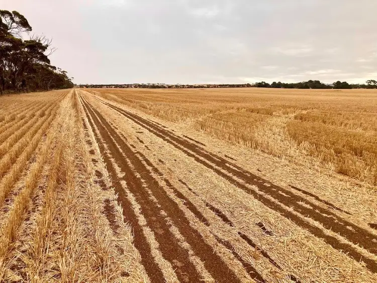 Second view of Homely rural property listing, 76 Polkinghorne Road, Arthurton SA 5572