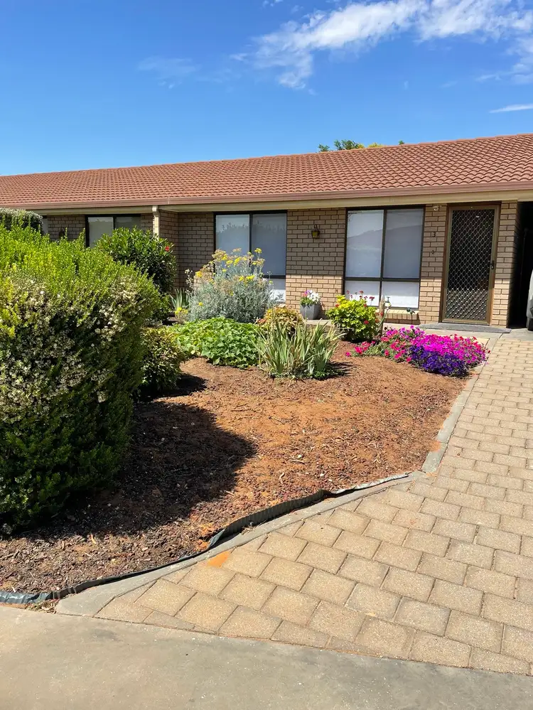 3/7 Reginald Street