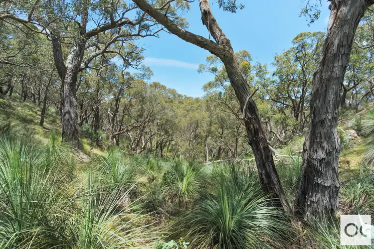 Fourth view of Homely rural property listing, Level 103 Range Road West, Willunga South SA 5172