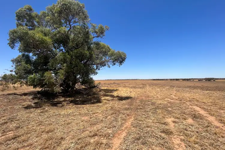 Fifth view of Homely rural property listing, 586 Baxter Road, Perenjori WA 6620