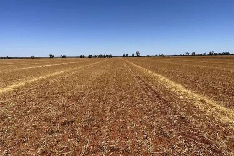 Sixth view of Homely rural property listing, 586 Baxter Road, Perenjori WA 6620