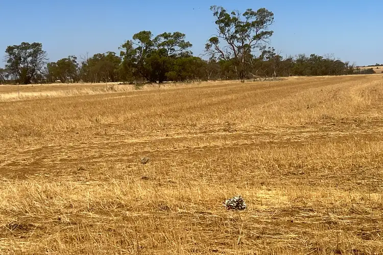 Seventh view of Homely rural property listing, 586 Baxter Road, Perenjori WA 6620