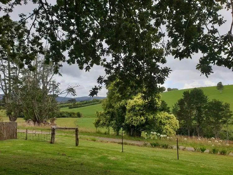 Fifth view of Homely house listing, 64 Kurrajong Street, Dorrigo NSW 2453