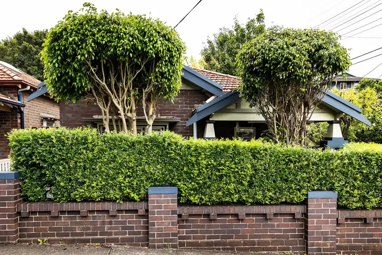 23 Audley Street, Petersham NSW 2049
