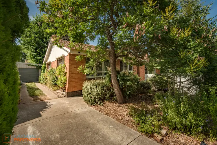 316 Antill Street, Hackett ACT 2602