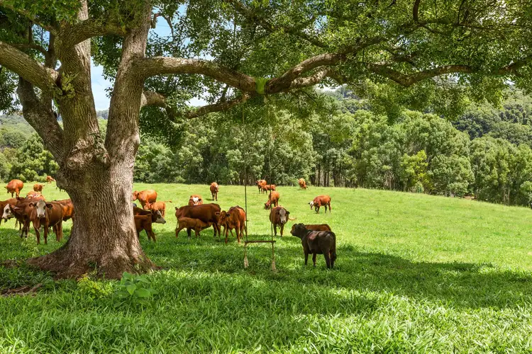Second view of Homely land listing, 216 Repentance Creek Road, Goonengerry NSW 2482