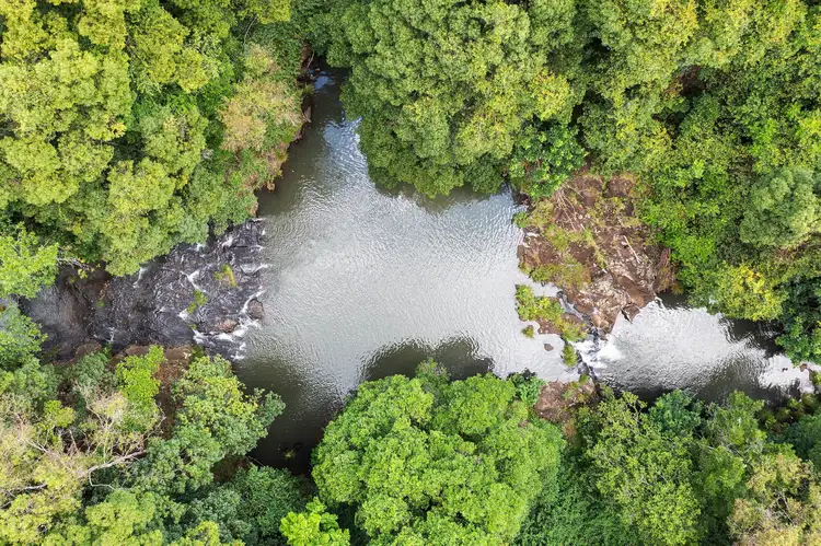 Third view of Homely land listing, 216 Repentance Creek Road, Goonengerry NSW 2482