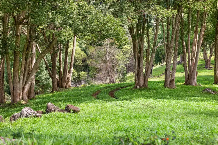 Fifth view of Homely land listing, 216 Repentance Creek Road, Goonengerry NSW 2482