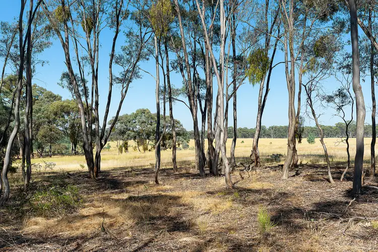 Fourth view of Homely land listing, LOT CA15A1, 510 Talbot-Mt Cameron Road, Red Lion VIC 3371