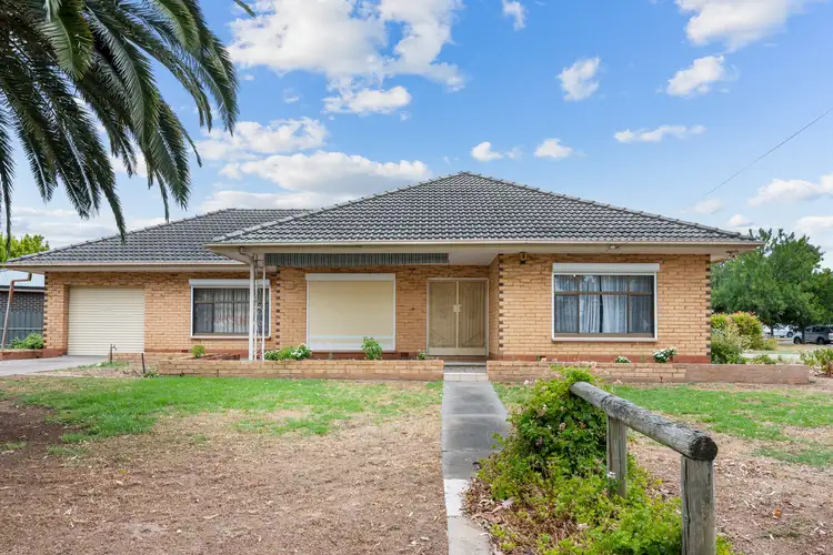 11 Cedar Avenue, Campbelltown SA 5074