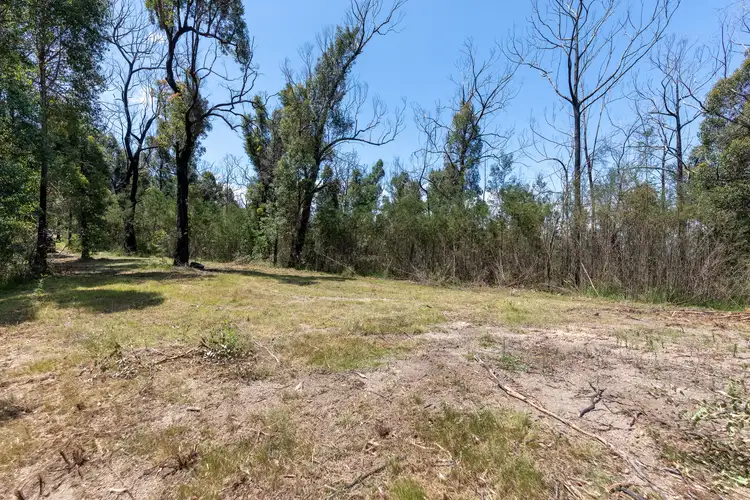 Seventh view of Homely rural property listing, 123 Murrabrine Forest Road, Yowrie NSW 2550