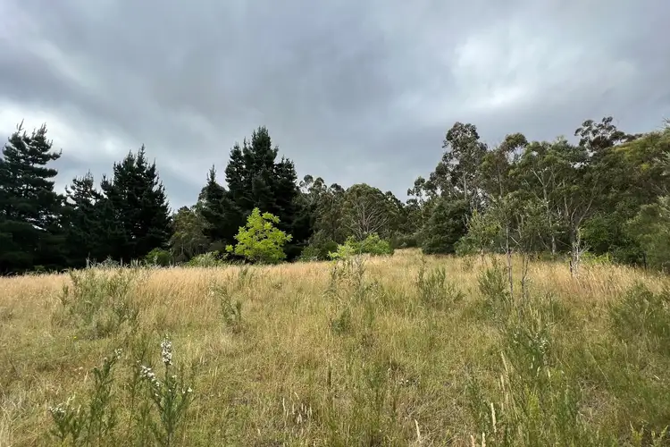 Second view of Homely land listing, 223 Little Burra Road, Burra NSW 2620