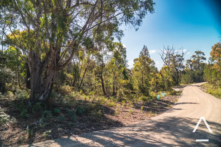 Second view of Homely rural property listing, Lot 1/33 Upper Scamander Road, Scamander TAS 7215