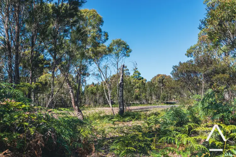 Fifth view of Homely rural property listing, Lot 1/33 Upper Scamander Road, Scamander TAS 7215