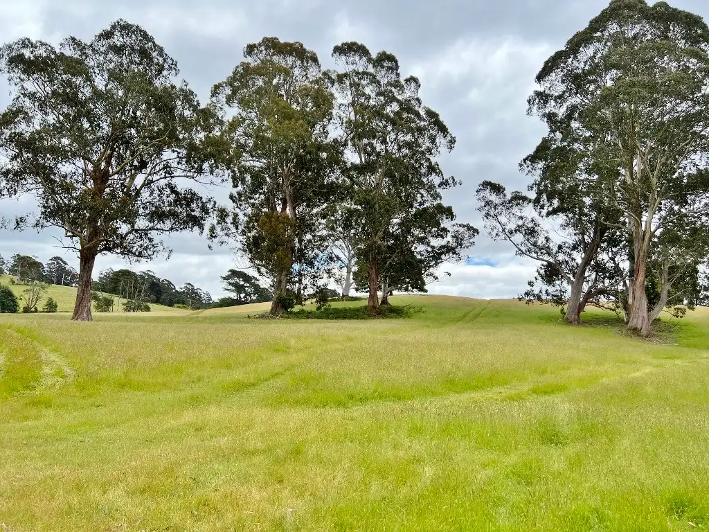 Main view of Homely rural property listing, LOT 1 Tasman Highway, Weldborough TAS 7264