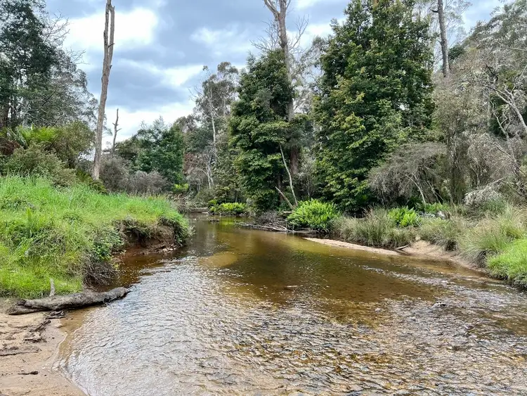 Fourth view of Homely rural property listing, LOT 1 Tasman Highway, Weldborough TAS 7264