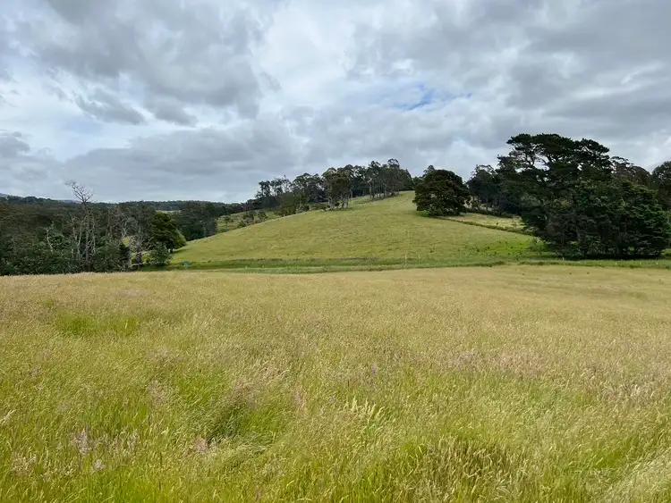 Fifth view of Homely rural property listing, LOT 1 Tasman Highway, Weldborough TAS 7264
