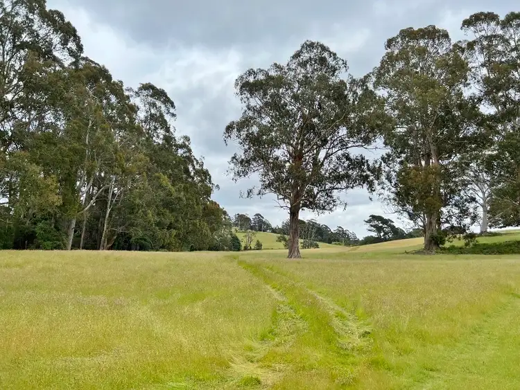 Sixth view of Homely rural property listing, LOT 1 Tasman Highway, Weldborough TAS 7264