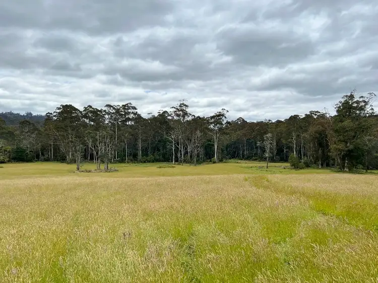 Seventh view of Homely rural property listing, LOT 1 Tasman Highway, Weldborough TAS 7264