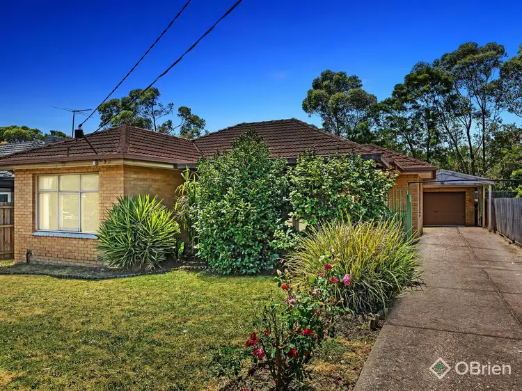 Main view of Homely house listing, 23 Lyndhurst Crescent, Box Hill North VIC 3129