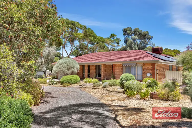 Second view of Homely house listing, 15 Ronda Avenue, Roseworthy SA 5371