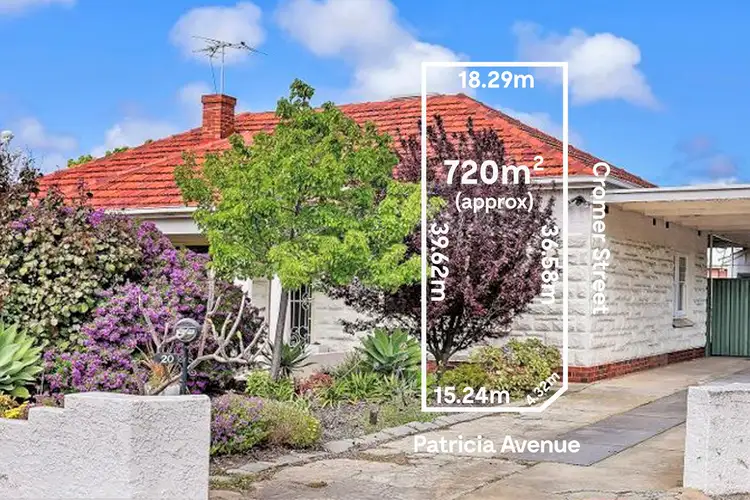Main view of Homely house listing, 20 Patricia Avenue, Camden Park SA 5038