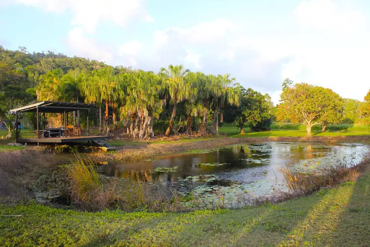 Fifth view of Homely house listing, 273 Shute Harbour Road, Mount Julian QLD 4800