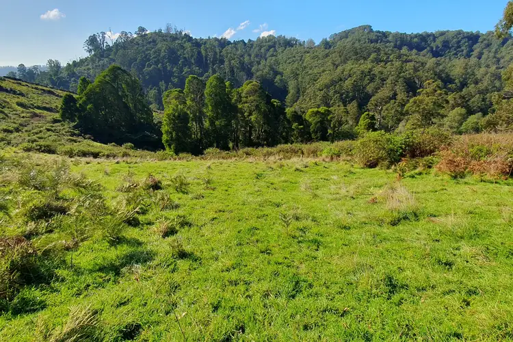 Seventh view of Homely rural property listing, 2 Budgeree Road, Budgeree VIC 3870