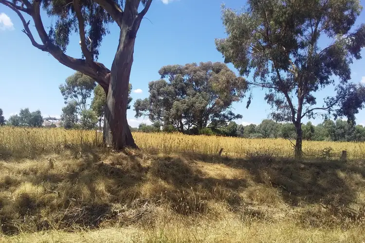 Second view of Homely rural property listing, 13 McKinnon Road, Dunolly VIC 3472