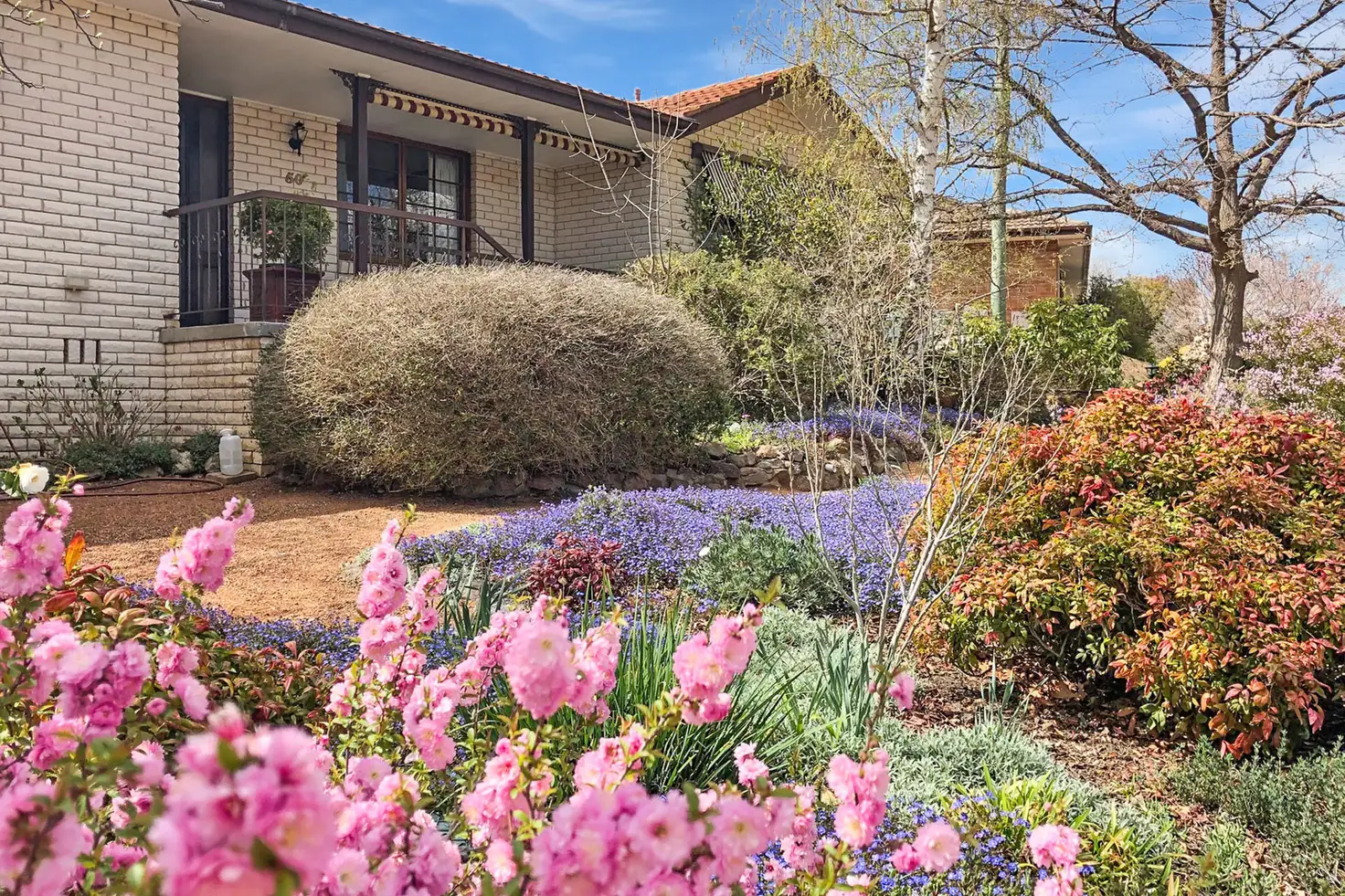 Main view of Homely house listing, 50 Balfour Crescent, Wanniassa ACT 2903