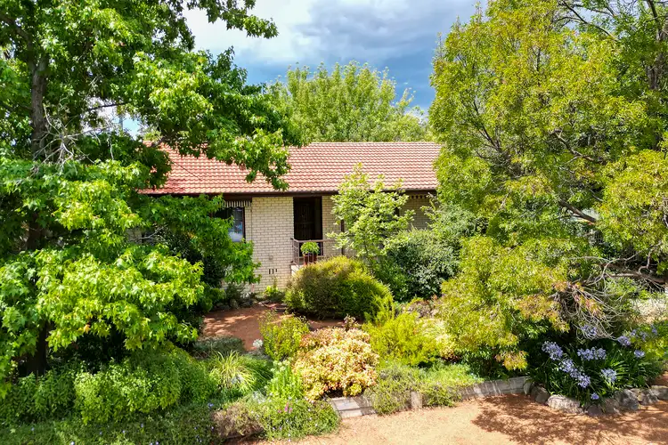 Second view of Homely house listing, 50 Balfour Crescent, Wanniassa ACT 2903