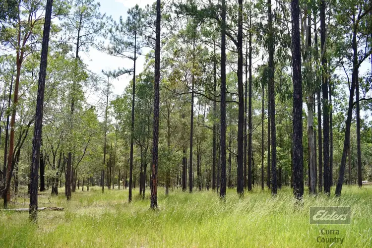 Sixth view of Homely land listing, Lot 277 Arborfive Road, Glenwood QLD 4570