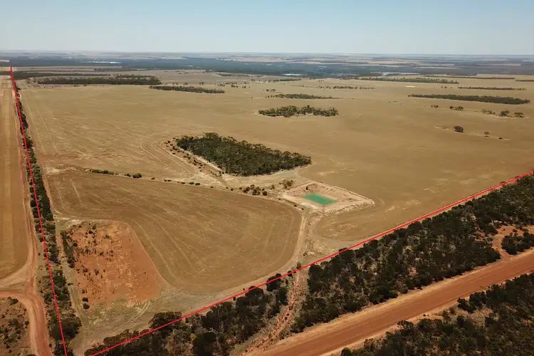 2598 Mallee Hill Road, Mallee Hill WA 6353