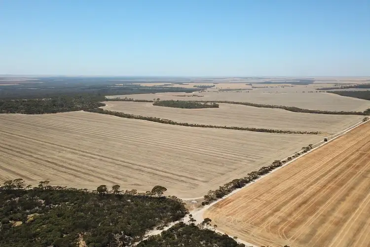 Fourth view of Homely rural property listing, 2598 Mallee Hill Road, Mallee Hill WA 6353