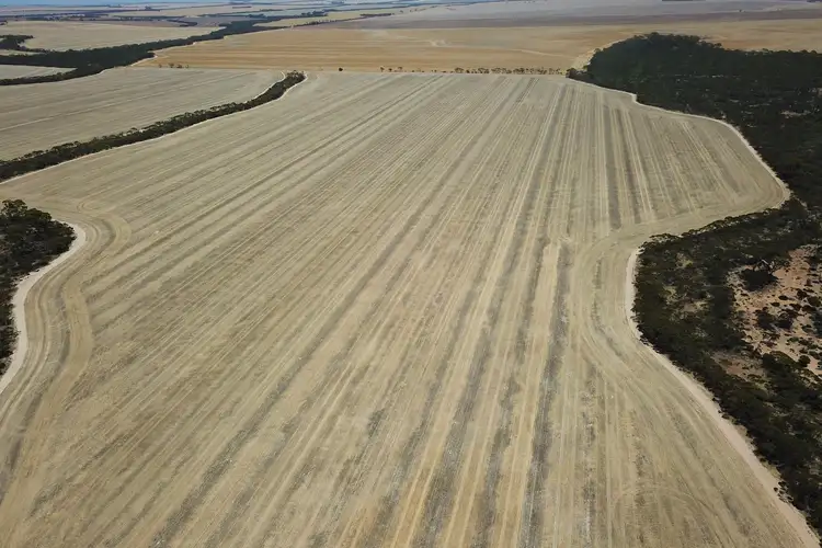 Sixth view of Homely rural property listing, 2598 Mallee Hill Road, Mallee Hill WA 6353