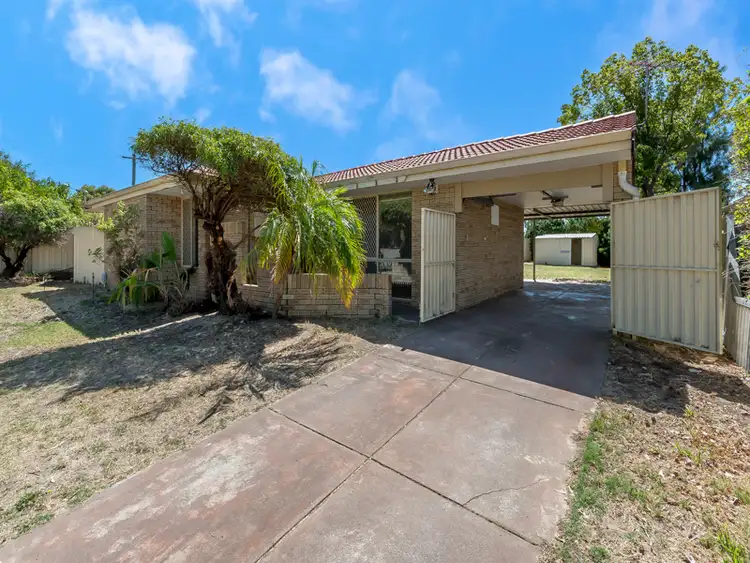 Second view of Homely house listing, 24 Barrallier Circle, Mirrabooka WA 6061