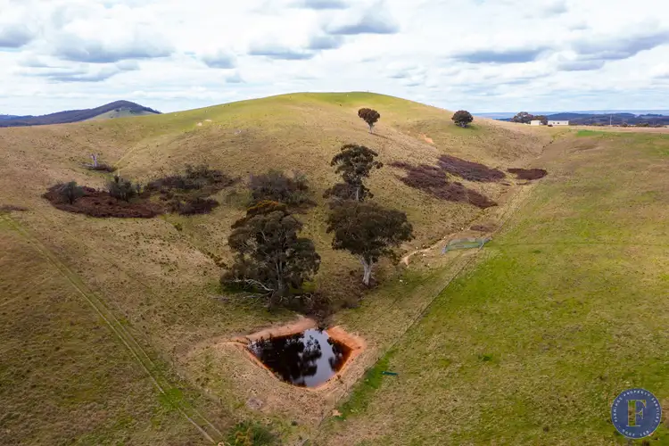 Seventh view of Homely rural property listing, Lot A Grassy Creek Road, Rye Park NSW 2586